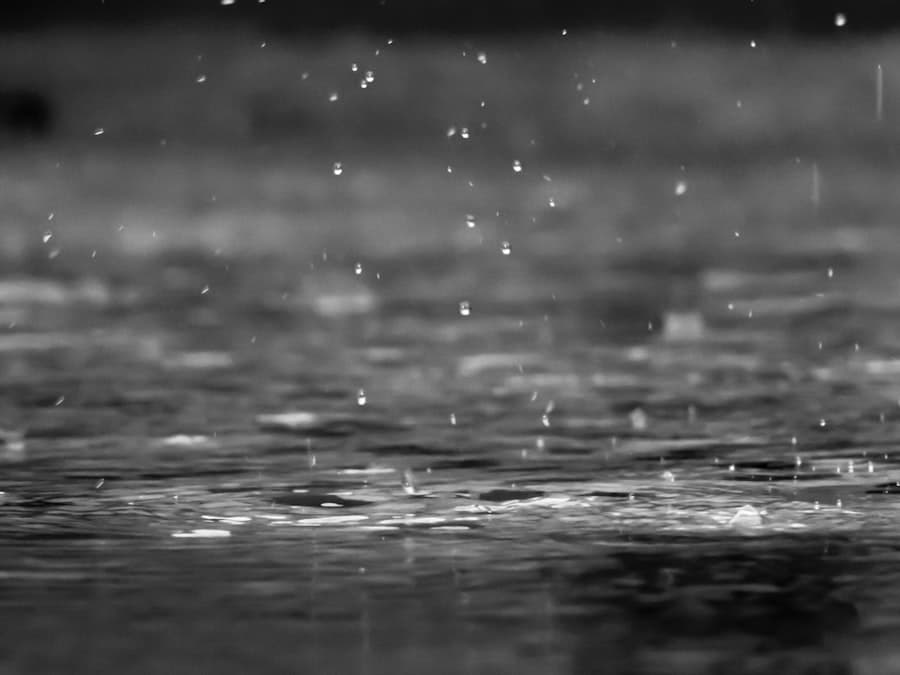 Pluie et embruns, l'humidité permanente qui noircit les façades du littoral